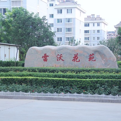 雷沃花苑小区监控项目